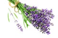 lavender flowers isolated on white background. bunch of lavender flowers Royalty Free Stock Photo