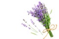 lavender flowers isolated on white background. bunch of lavender flowers