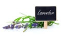 Lavender flowers with letter plate Royalty Free Stock Photo