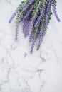 Lavender flowers lie on a marble background there is a place for the inscription vertical background