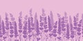 Lavender flowers purple border seamless pattern. Royalty Free Stock Photo