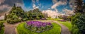 Lavender flowers in the Rookery