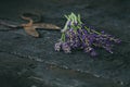 Lavender flowers, rosemary, mint, thyme, melissa with old scissors on a black wooden table. Burnt wood. Spa and cosmetic or cookin Royalty Free Stock Photo