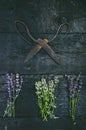 Lavender flowers, rosemary, mint, thyme, melissa with old scissors on a black wooden table. Burnt wood. Spa and cosmetic or cookin Royalty Free Stock Photo