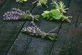 Lavender flowers, rosemary, mint, thyme, melissa with old scissors on a black wooden table. Burnt wood. Spa and cosmetic or cookin Royalty Free Stock Photo