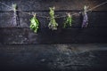 Lavender flowers, rosemary, mint, thyme, melissa with old scissors on a black wooden table. Burnt wood. Spa and cosmetic or cookin Royalty Free Stock Photo