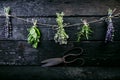 Lavender flowers, rosemary, mint, thyme, melissa with old scissors on a black wooden table. Burnt wood. Spa and cosmetic or cookin Royalty Free Stock Photo