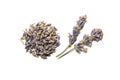 lavender flowers, seeds and twigs on a white background Royalty Free Stock Photo