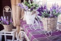 Lavender flowers in small decorative bicycle pot stand on the windowsill. Spring interior design of room. Royalty Free Stock Photo