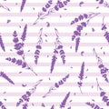 Lavender flowers and stripes vector repeat pattern. Royalty Free Stock Photo