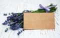 Lavender flowers with tag Royalty Free Stock Photo