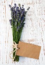 Lavender flowers with tag Royalty Free Stock Photo