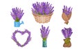 Lavender Flowers in Vase and Wicker Basket Vector Set