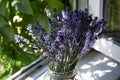 Lavender flowers in vase on a window sill.