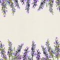 Lavender flowers. Watercolor border stripe, floral card