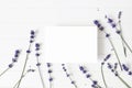 Lavender flowers on white wooden table background. Decorative floral frame, web banner with Lavandula officinalis. Blank Royalty Free Stock Photo