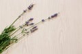 Lavender flowers on wooden background, copy space Royalty Free Stock Photo