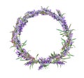 Lavender flowers wreath. Watercolor floral round border