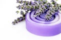 Lavender glycerin soap Royalty Free Stock Photo