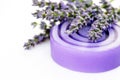 Lavender glycerin soap