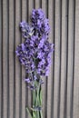 Lavender on a grey background, lavender bouquet, purple lavender, lilac lavender, lavender flower, lavender on a wooden background Royalty Free Stock Photo
