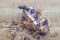 Lavender handmade soap Royalty Free Stock Photo