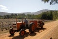 Lavender harvest for essential oil production