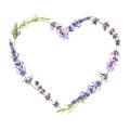 Lavender Heart shaped Wreath. Watercolor botanical illustration of purple flowers. Hand drawn Frame isolated on white