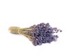 Lavender Herb Dried Flowers Royalty Free Stock Photo