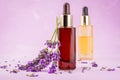 lavender herb and essential aromatherapy oil Royalty Free Stock Photo