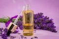 lavender herb and essential aromatherapy oil Royalty Free Stock Photo