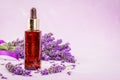 lavender herb and essential aromatherapy oil Royalty Free Stock Photo