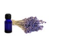 Lavender Herb Essential Oil