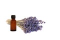 Lavender Herb Essential Oil