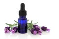 Lavender Herb Flower Essence