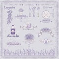 Lavender, herb, flower, floral vintage,