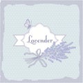 Lavender, herb, flower, packaging background