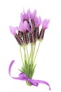 Lavender Herb Flower Posy Royalty Free Stock Photo