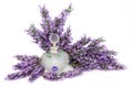 Lavender Flower Scent Royalty Free Stock Photo