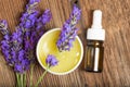 Lavender herbal extract Royalty Free Stock Photo
