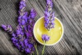 Lavender herbal extract