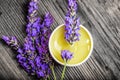 Lavender herbal extract Royalty Free Stock Photo