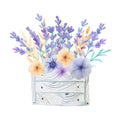 Lavender and herbs in wooden box