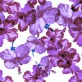 Lavender Hibiscus Plant. Vanilla Flower Backdrop. Pink Seamless Background. Purple Vintage Foliage. Pattern Palm. Watercolor Print Royalty Free Stock Photo