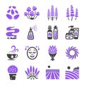 Lavender icon set Royalty Free Stock Photo