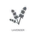 Lavender icon. Trendy Lavender logo concept on white background