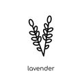 Lavender icon. Trendy modern flat linear vector Lavender icon on Royalty Free Stock Photo