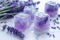 Lavender infused ice cubes Royalty Free Stock Photo