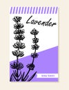 Lavender label, sticker and card for wildflower honey products.t. Black line lavender. Vector hand drawn tea herb Royalty Free Stock Photo