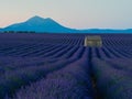 A small shed in an endless lavender field before sunset with a mountain backdrop